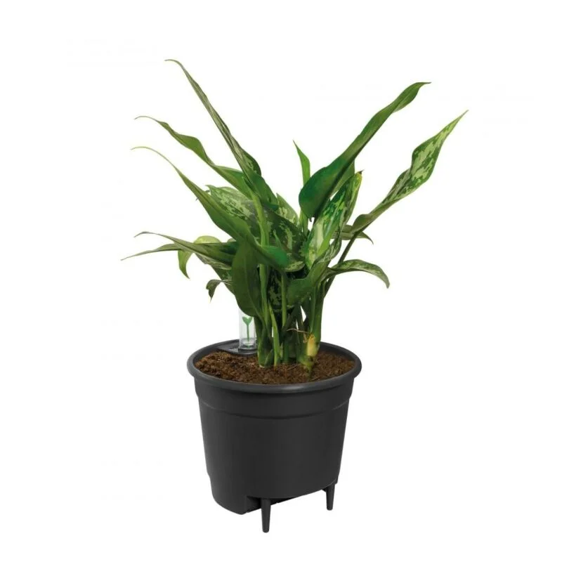 gartencenterleurs-3543126