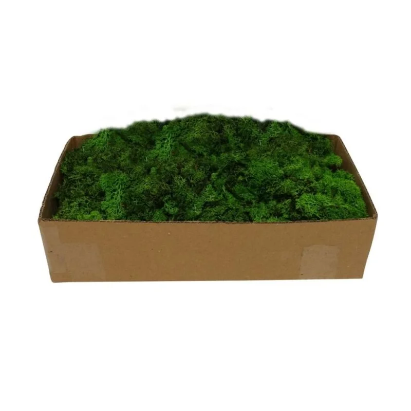 gartencenterleurs-3543922