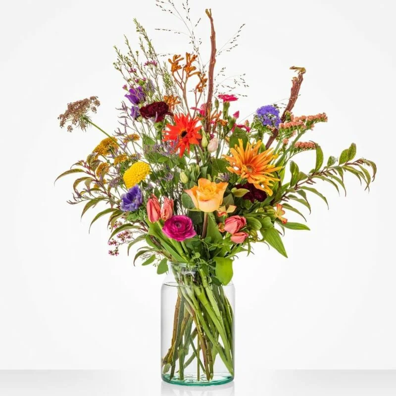 gartencenterleurs-3556503