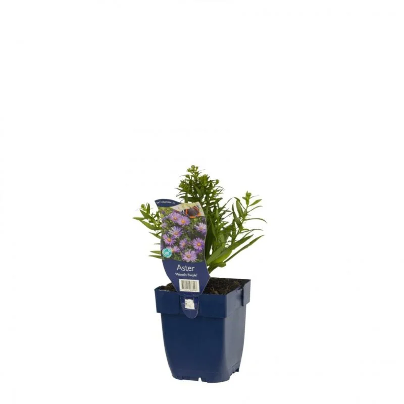 gartencenterleurs-3735194