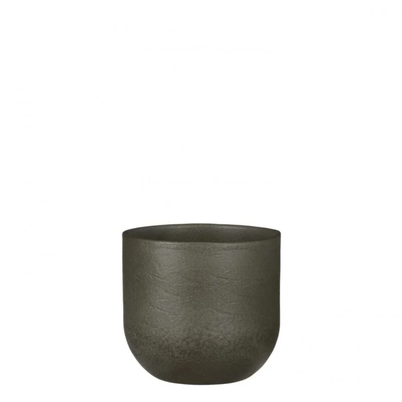 gartencenterleurs-3735917