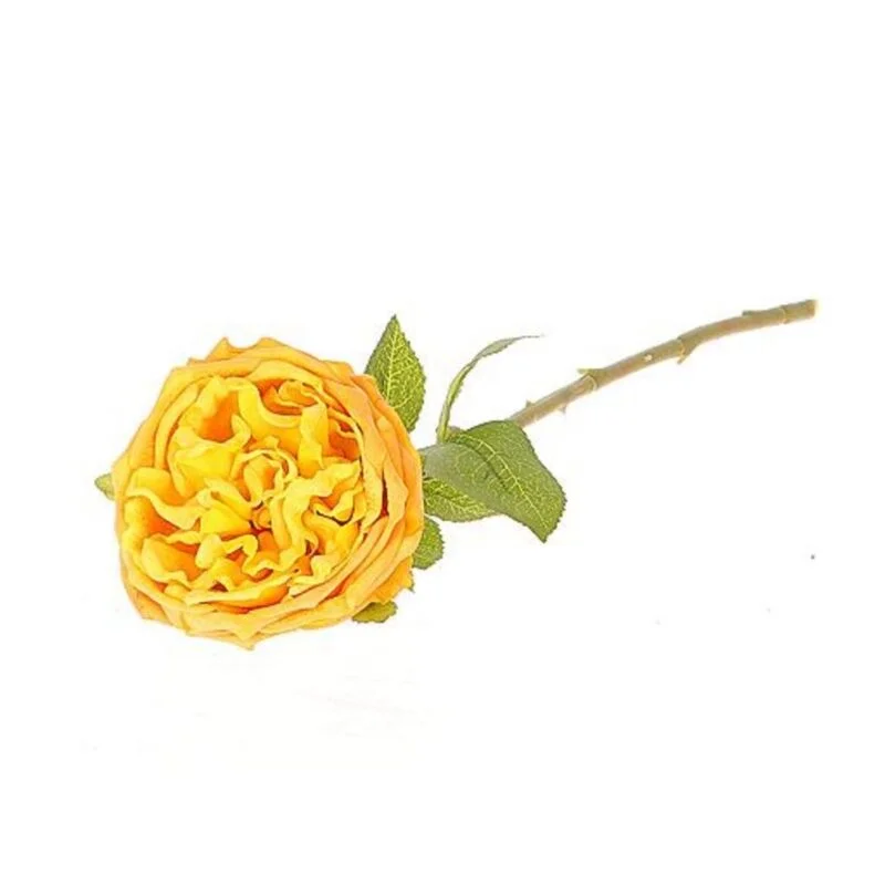 gartencenterleurs-3826326