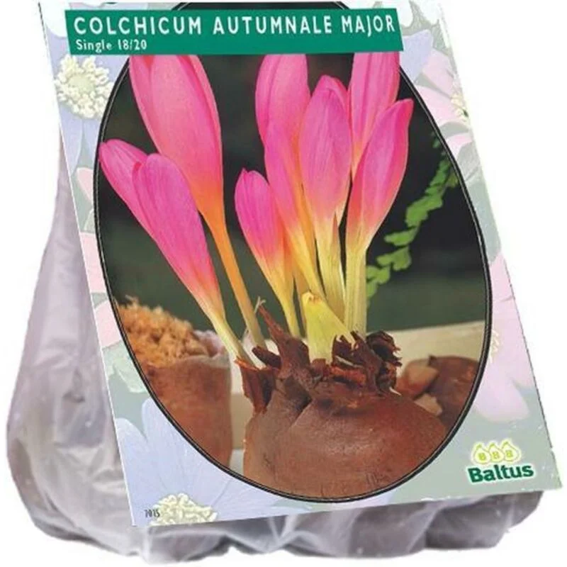 gartencenterleurs-3843224
