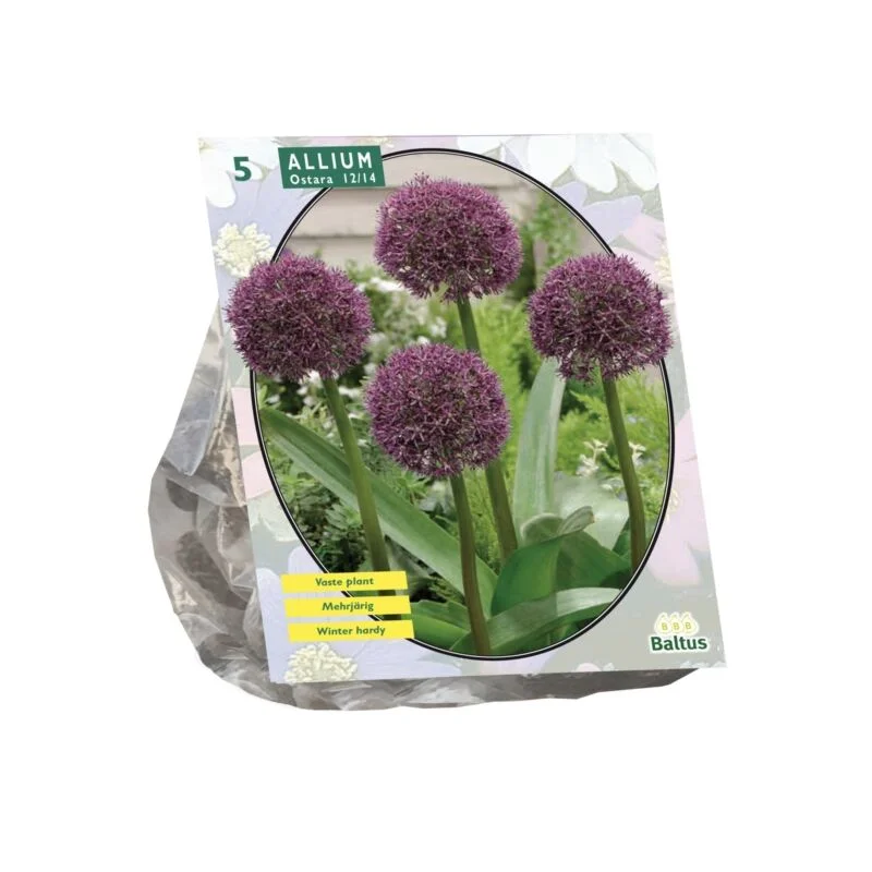gartencenterleurs-3843231