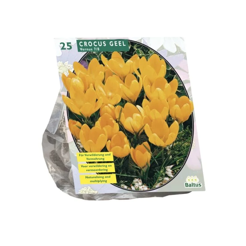 gartencenterleurs-3843239