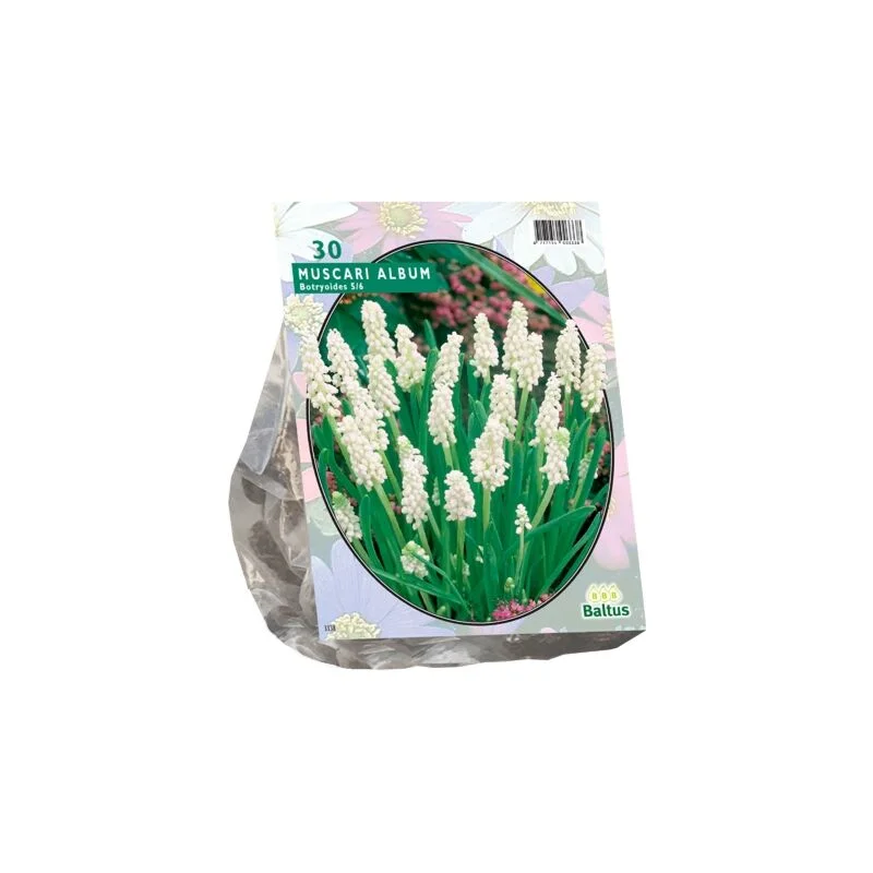 gartencenterleurs-3843256
