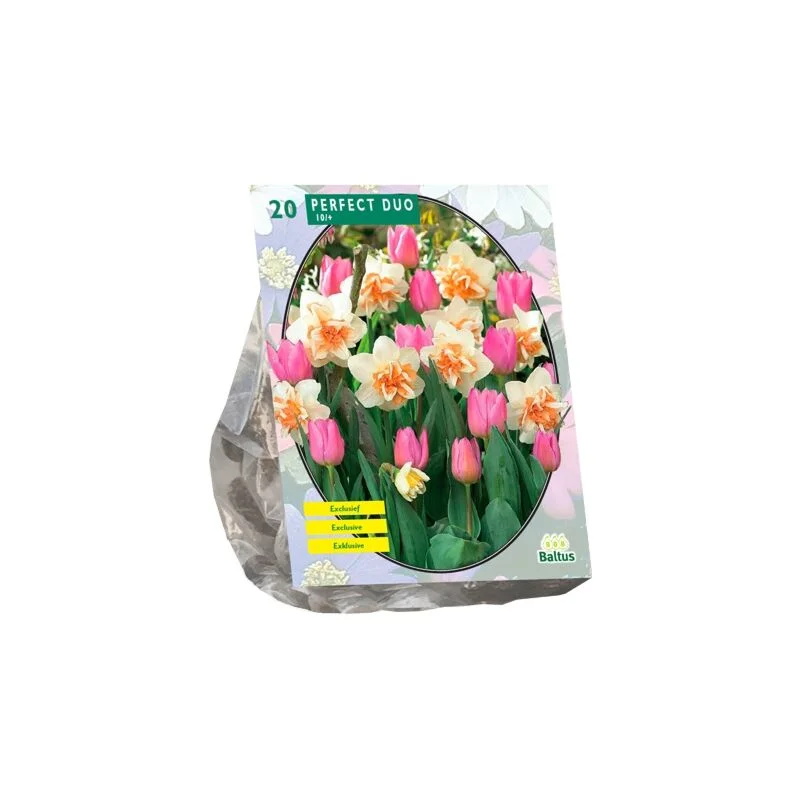 gartencenterleurs-3843259