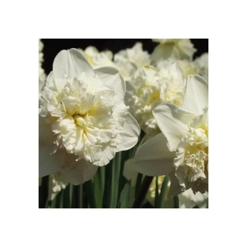 gartencenterleurs-3843262