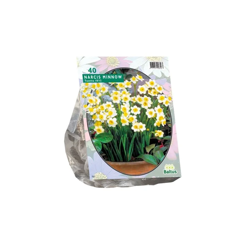 gartencenterleurs-3843268