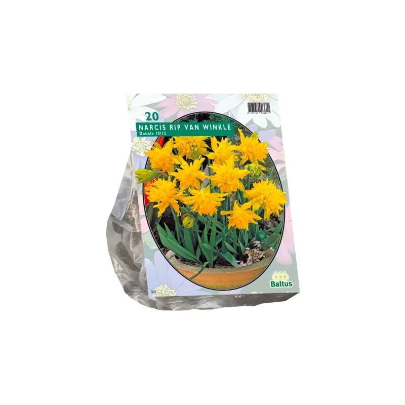 gartencenterleurs-3843270