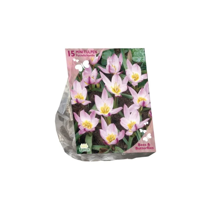 gartencenterleurs-3843288