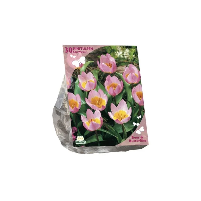 gartencenterleurs-3843289
