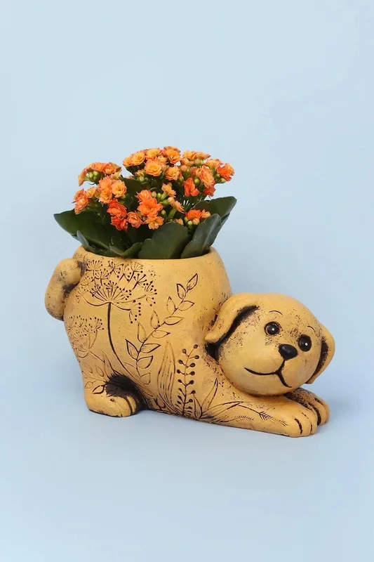 gdecor3454118