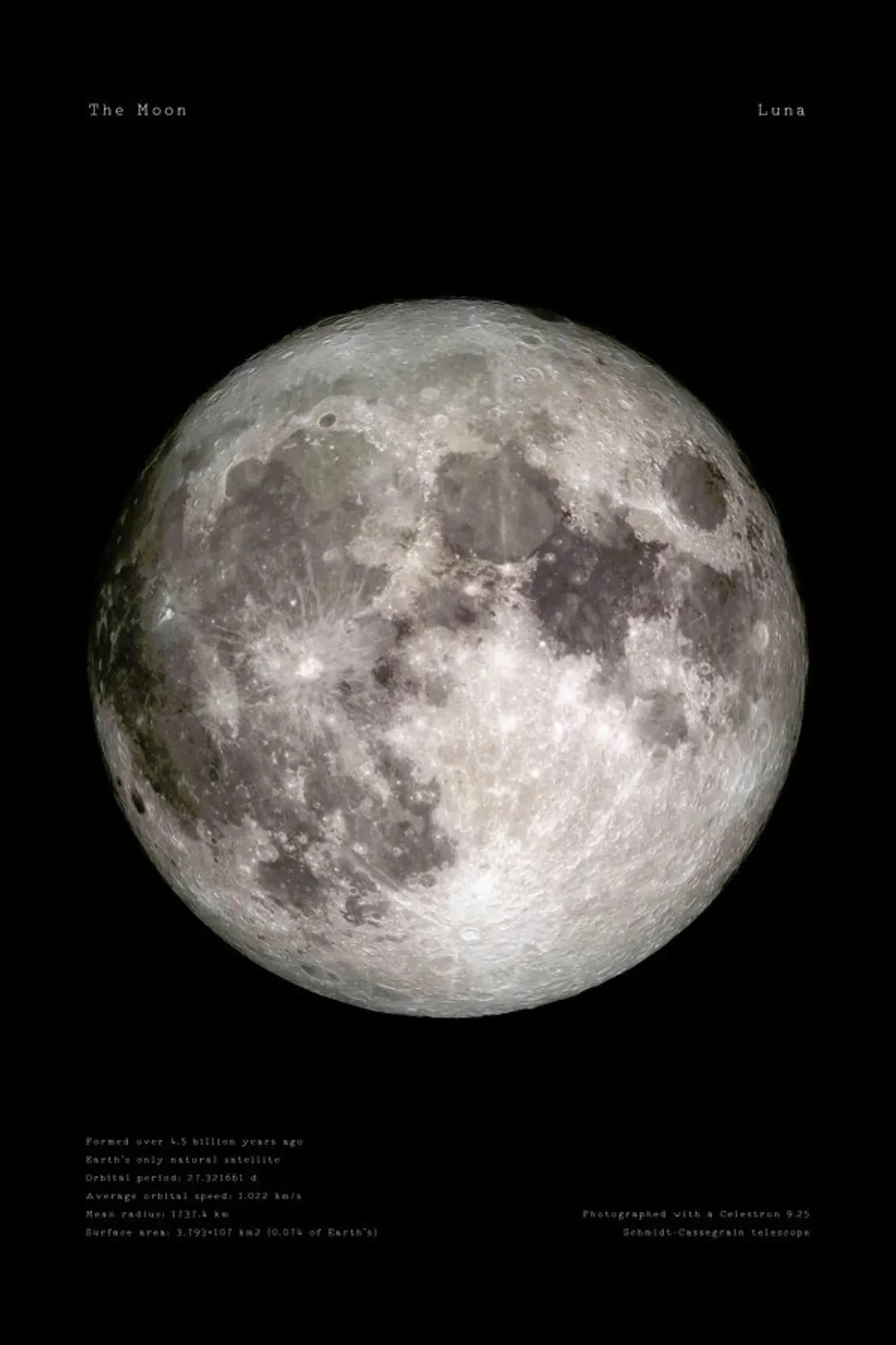 juniqe-3720996