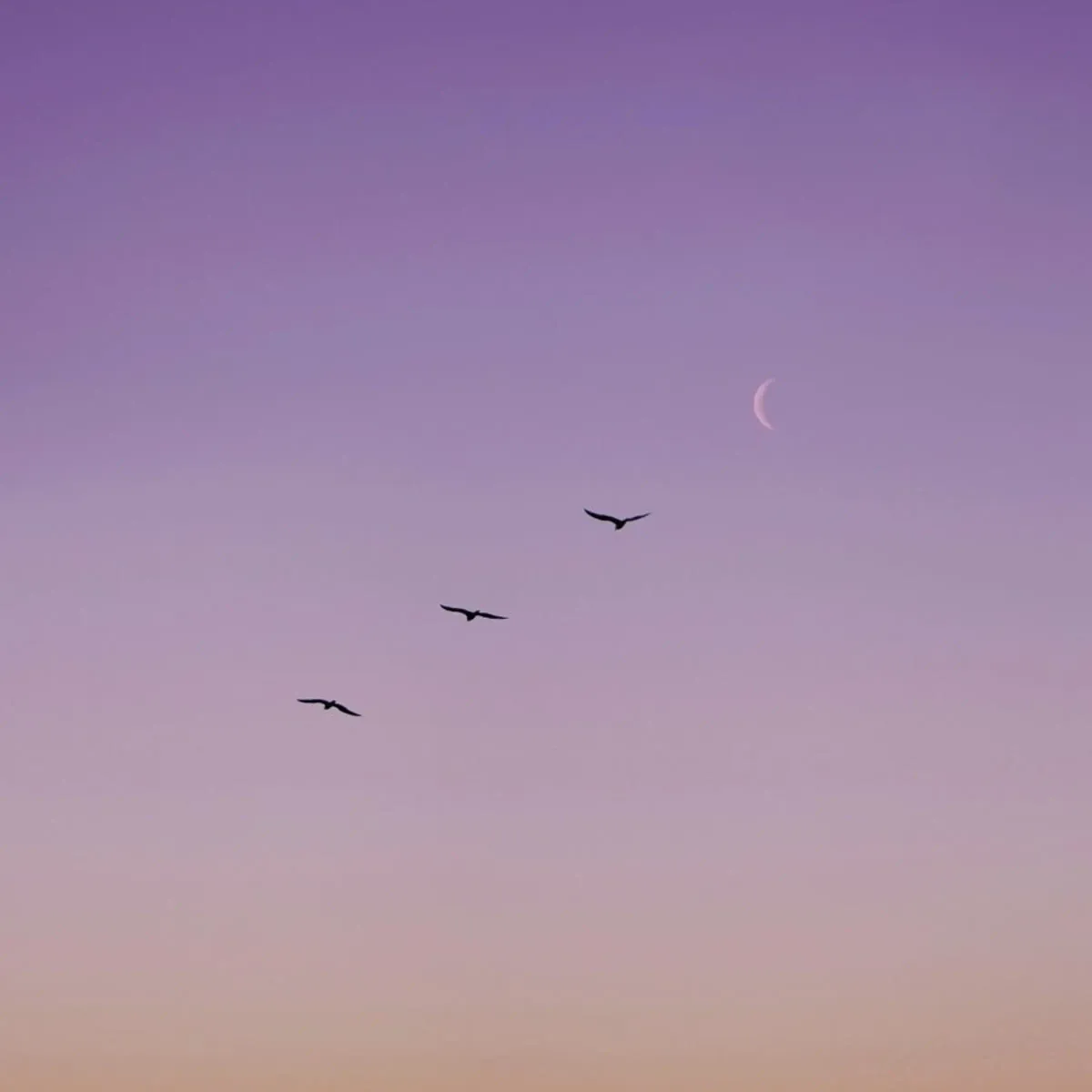 juniqe-3790298