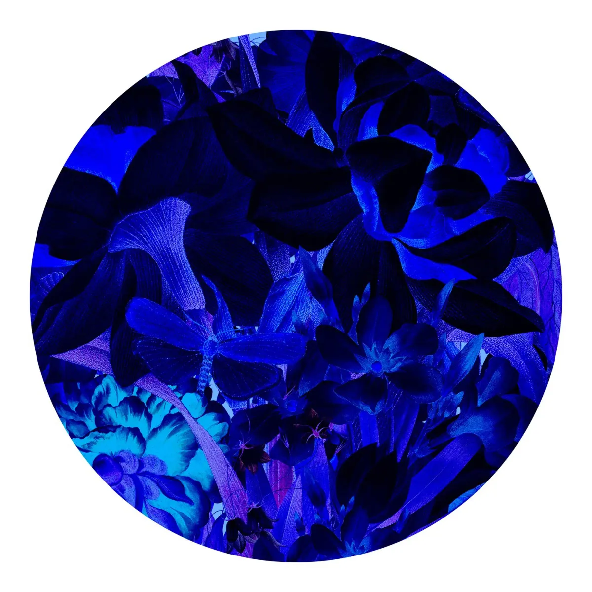 juniqe-3790402