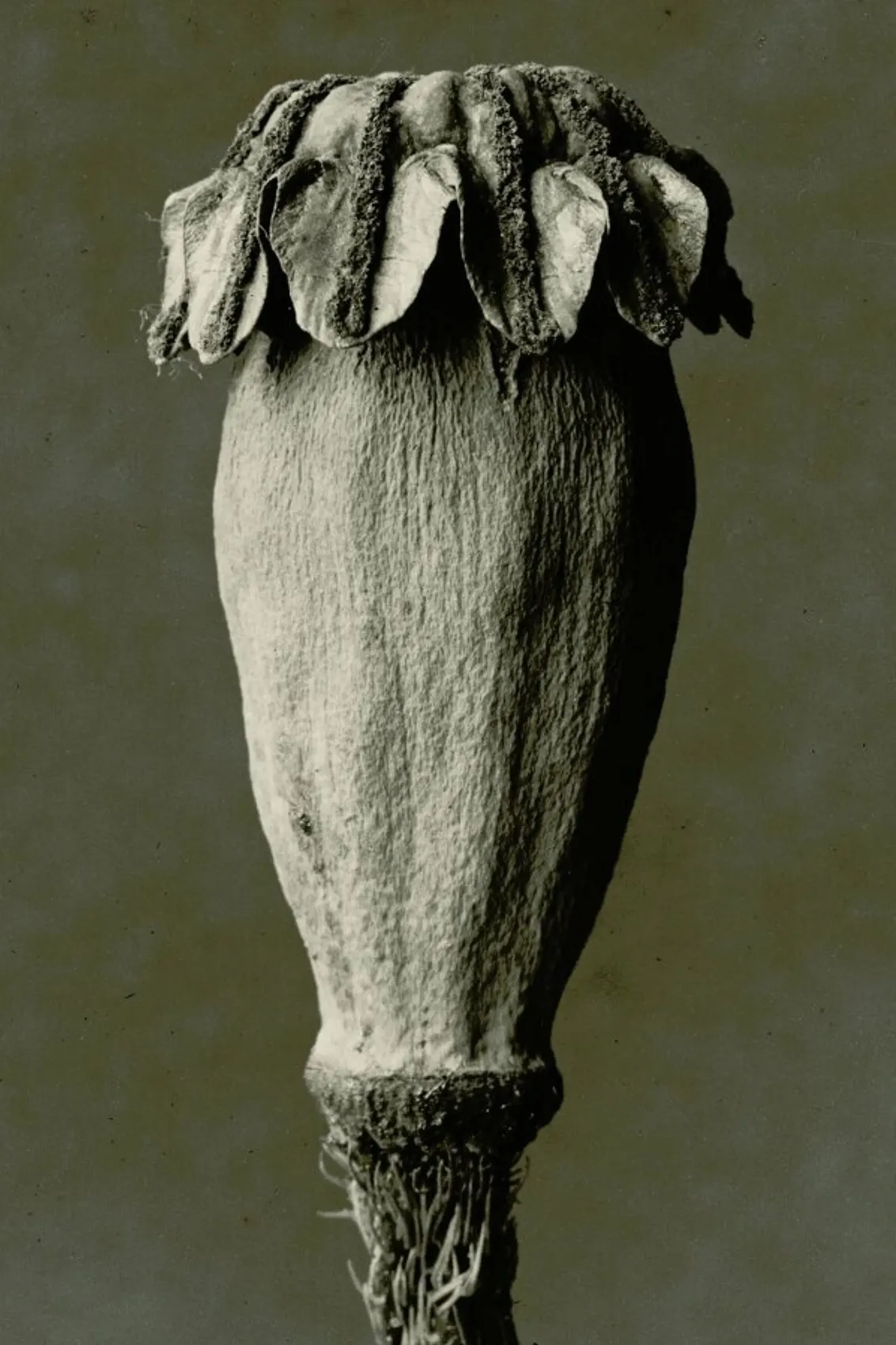 juniqe-3830518