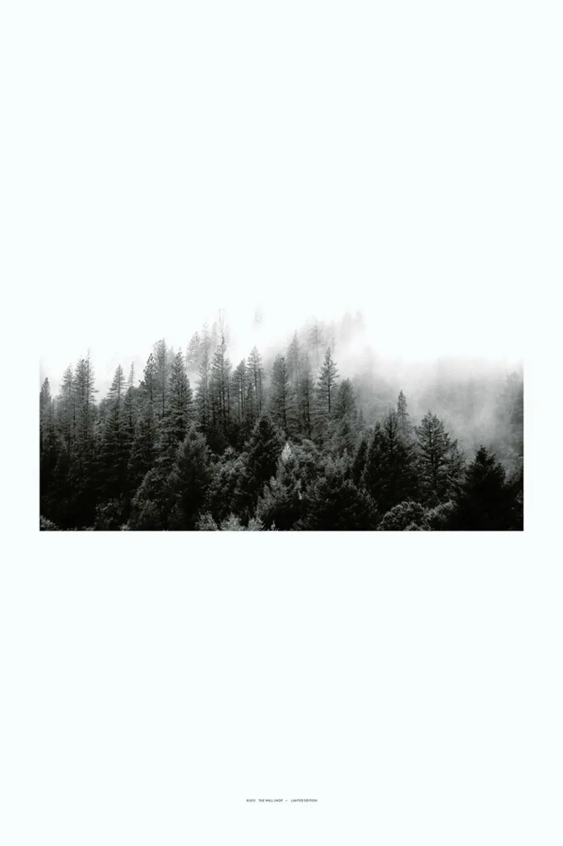 juniqe-3854124