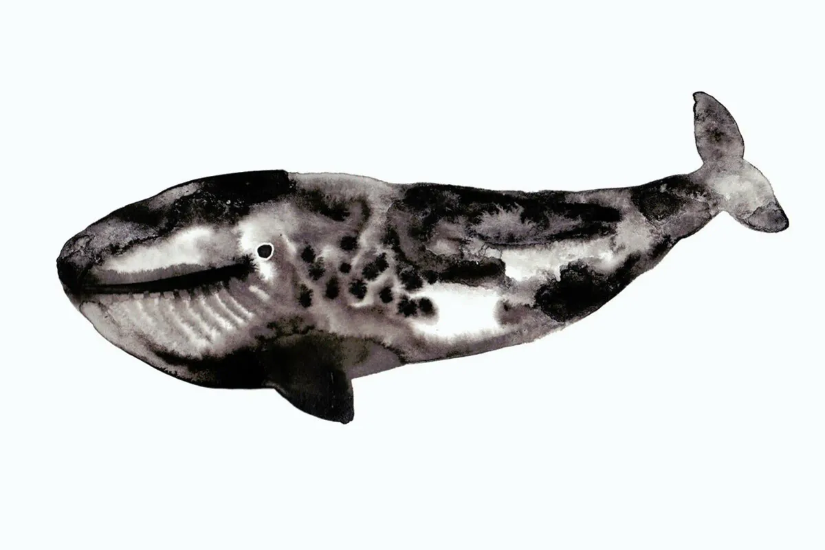 juniqe-3861445