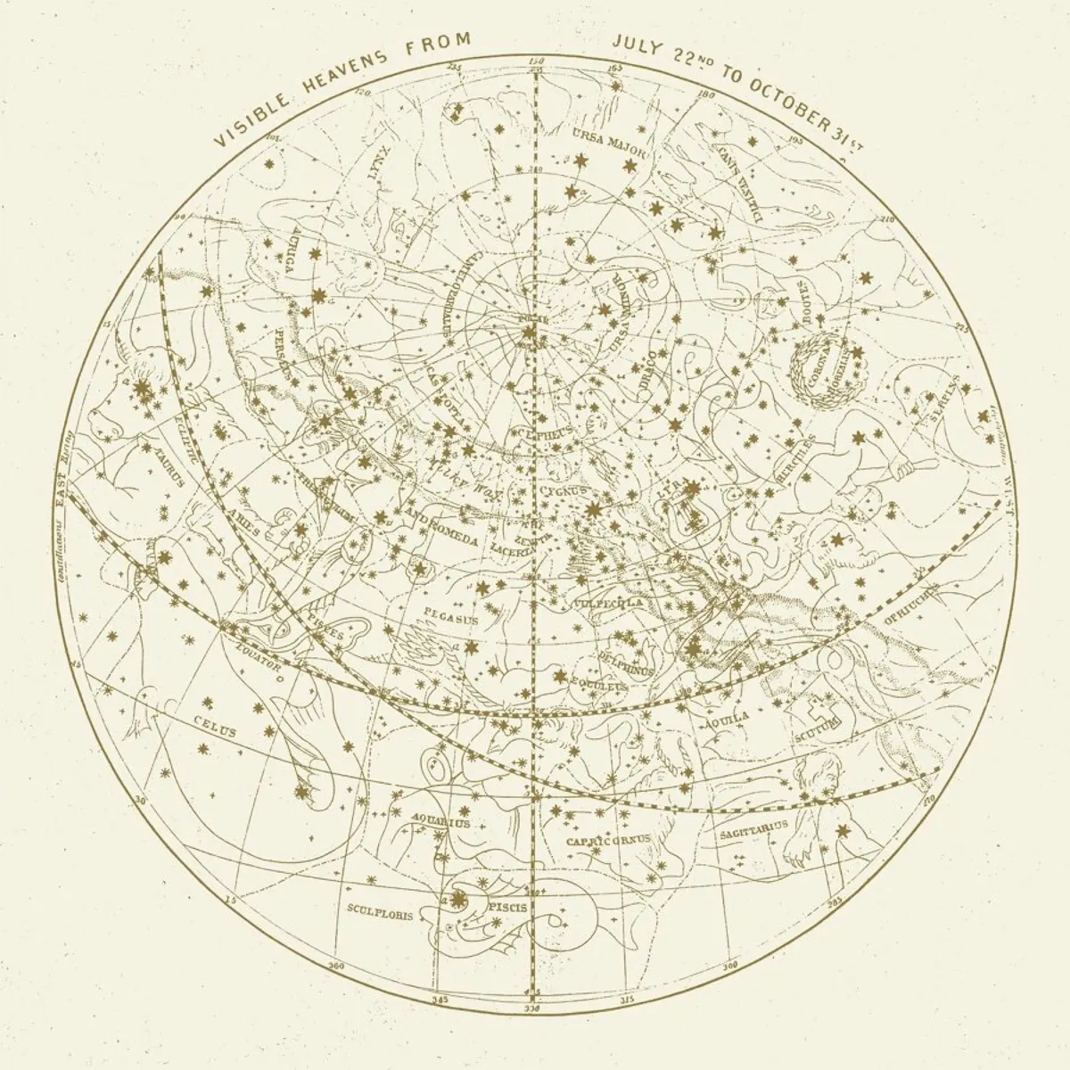 juniqe-3861710