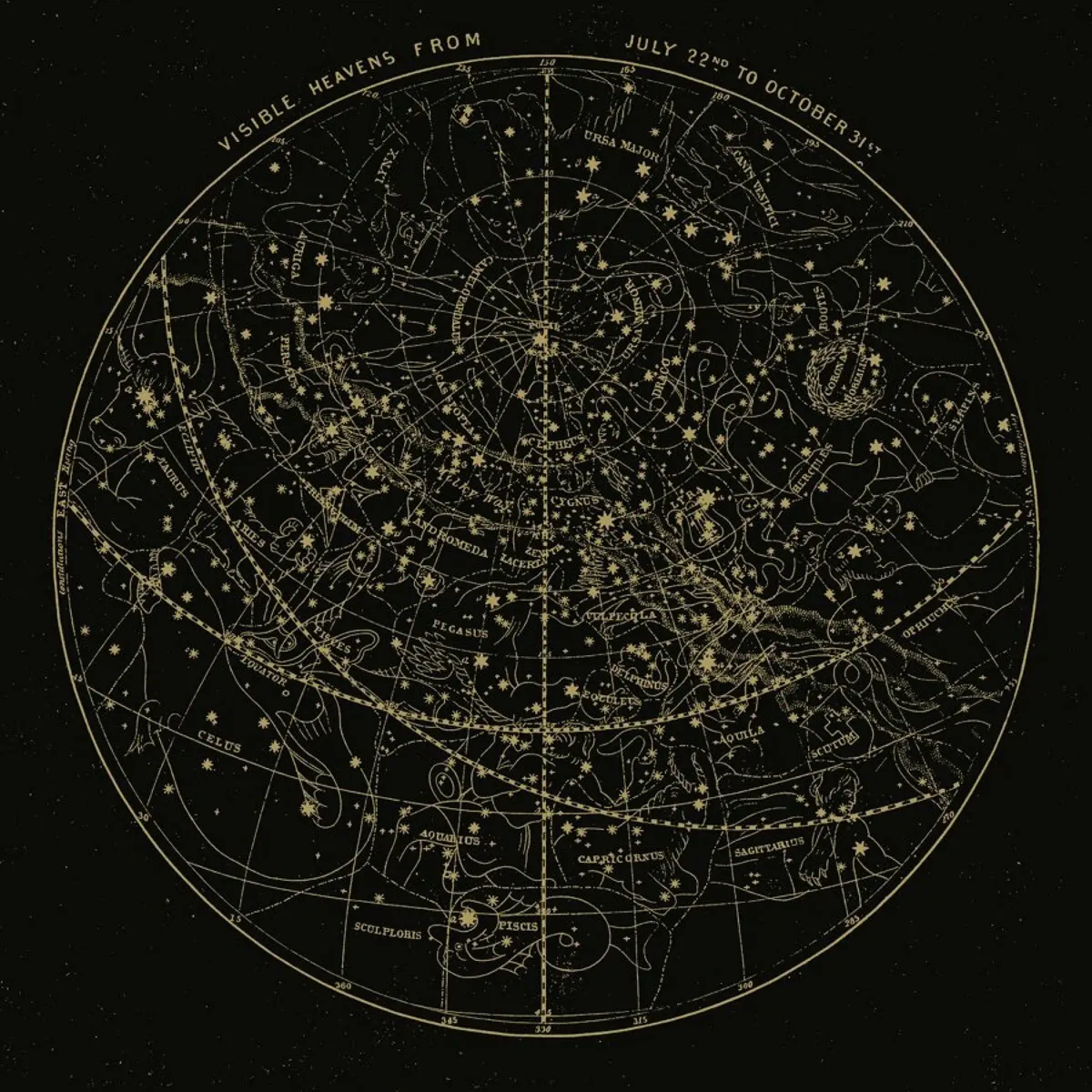 juniqe-3861712