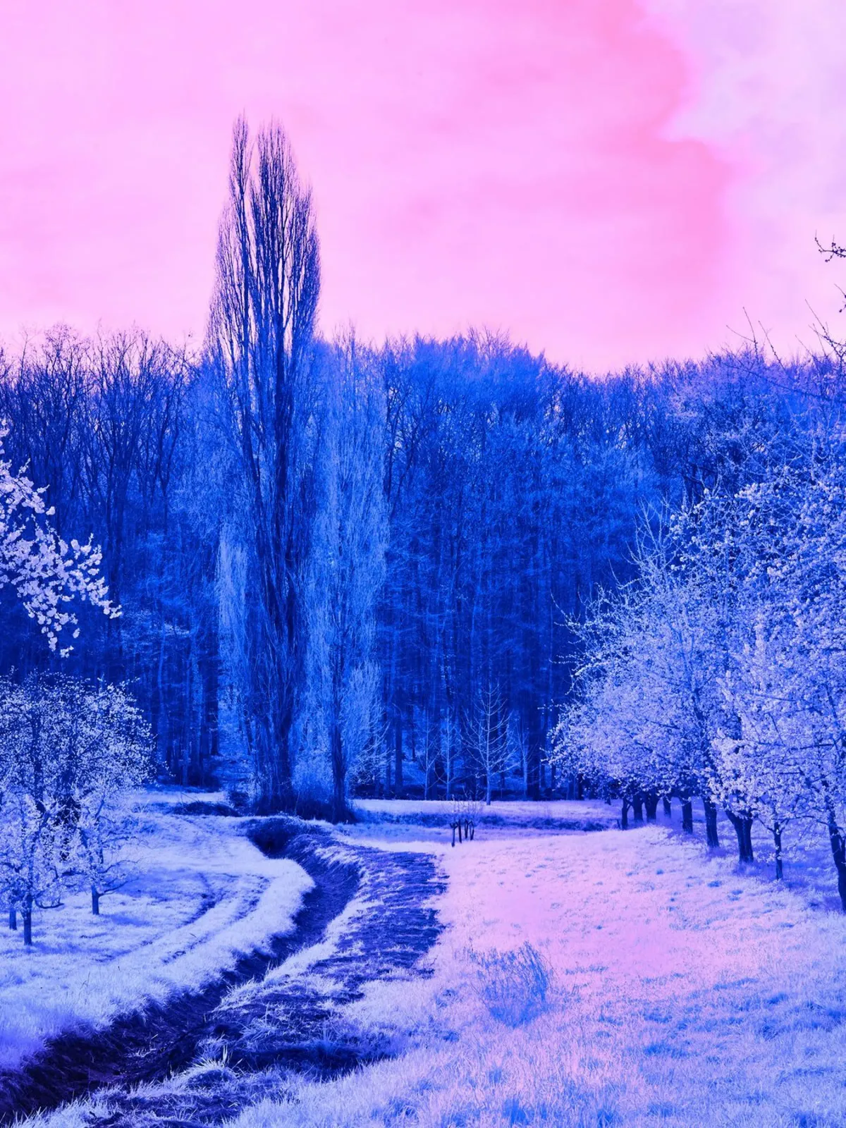 juniqe-3862013
