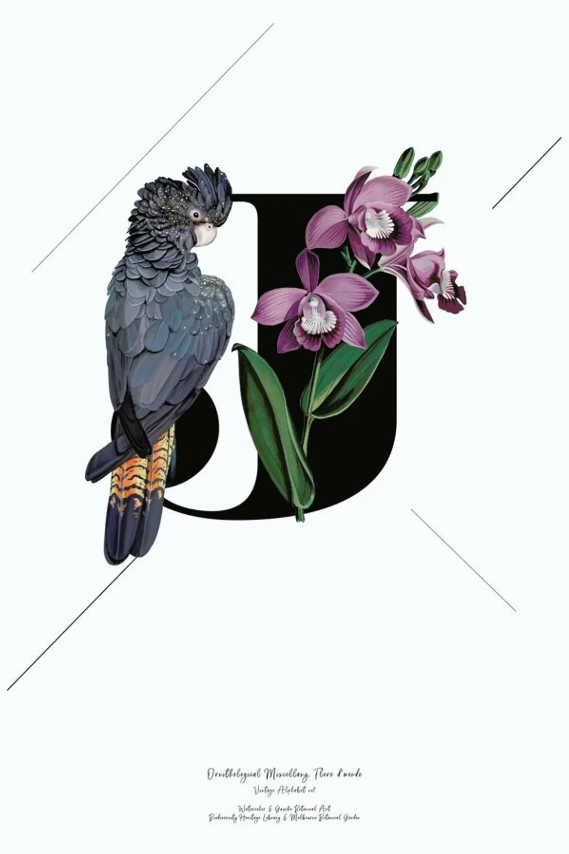 juniqe-3862055