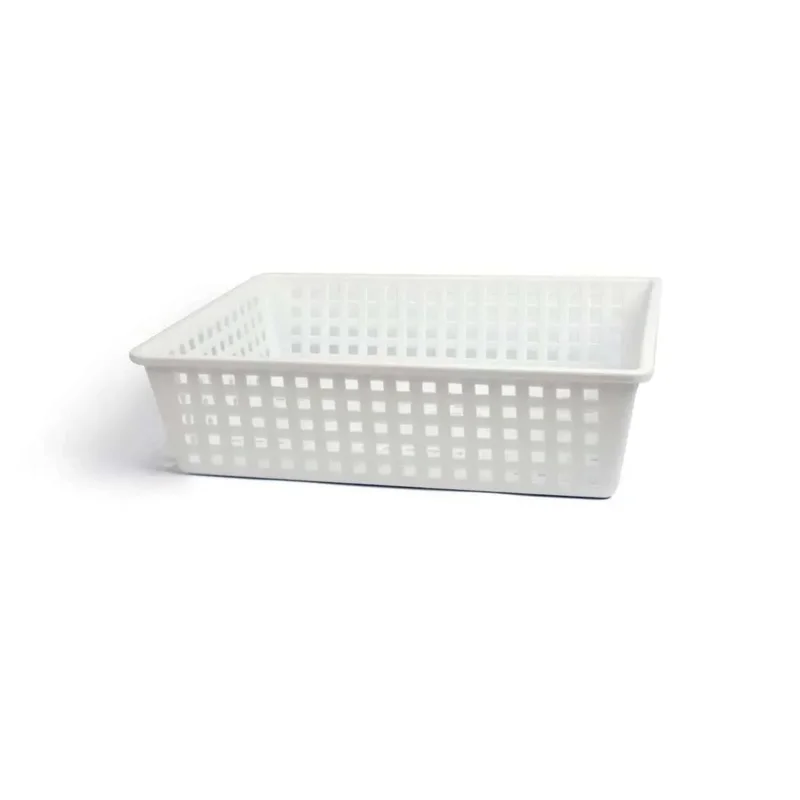 kiwistore-3538835
