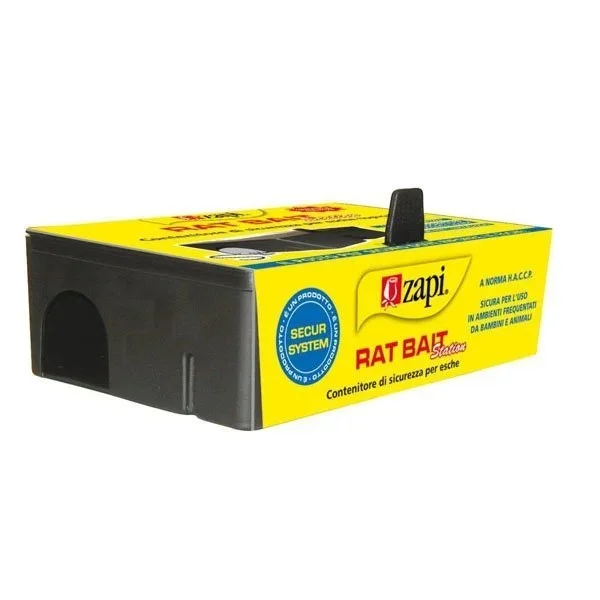 kiwistore-3540841