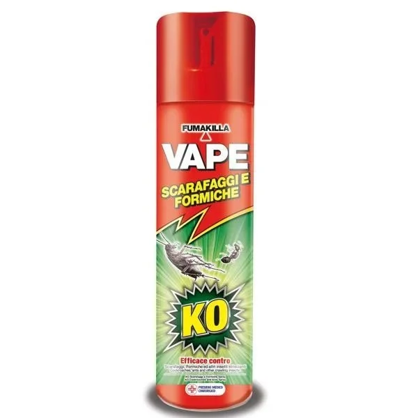 kiwistore-3541227