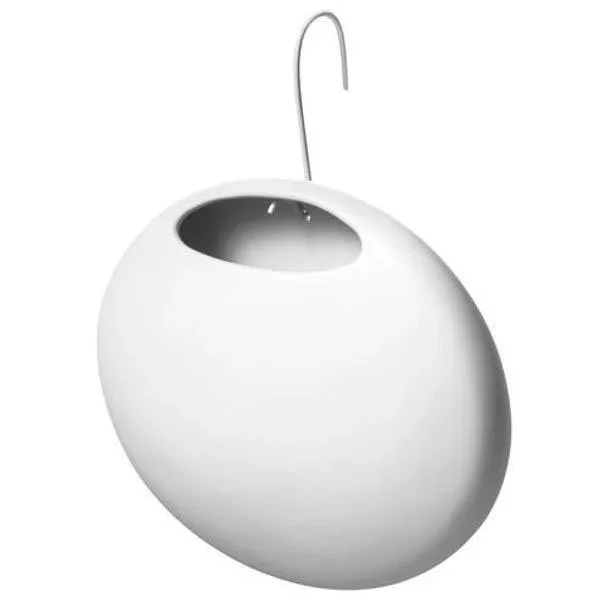 kiwistore-3543908
