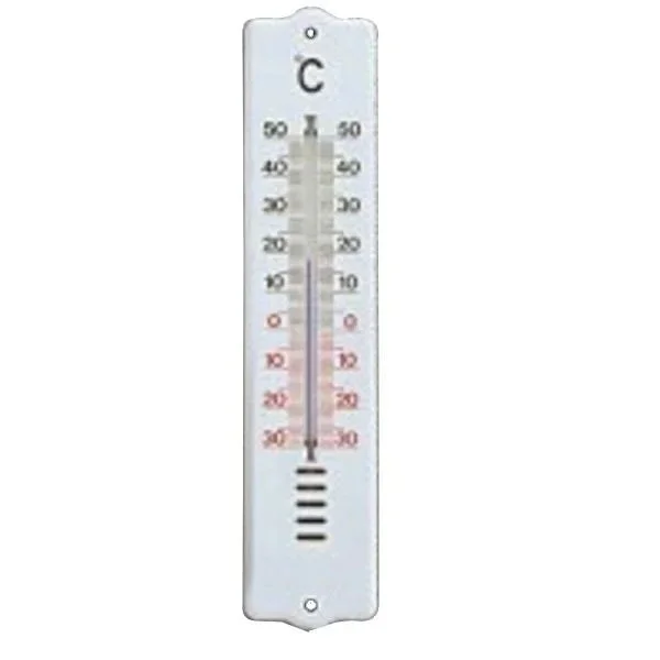 kiwistore-3544064