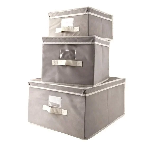 kiwistore-3544224
