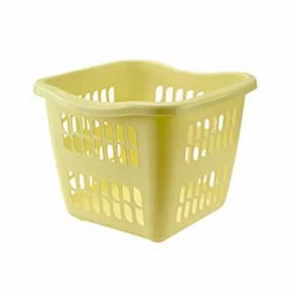 kiwistore-3544372