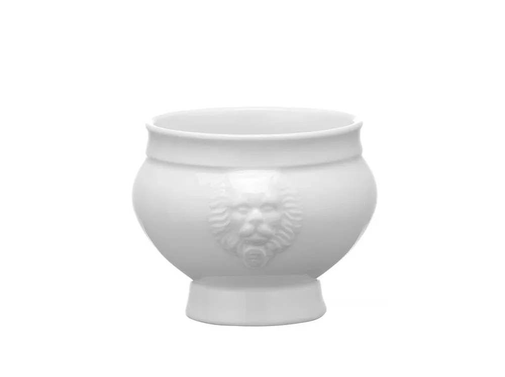 kiwistore-3545472