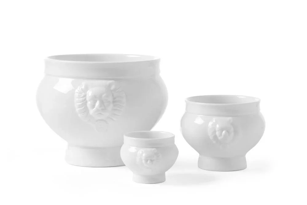 kiwistore-3545474