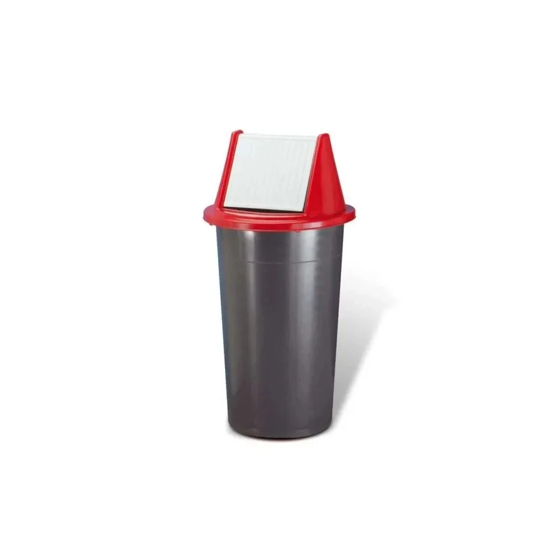 kiwistore-3549619
