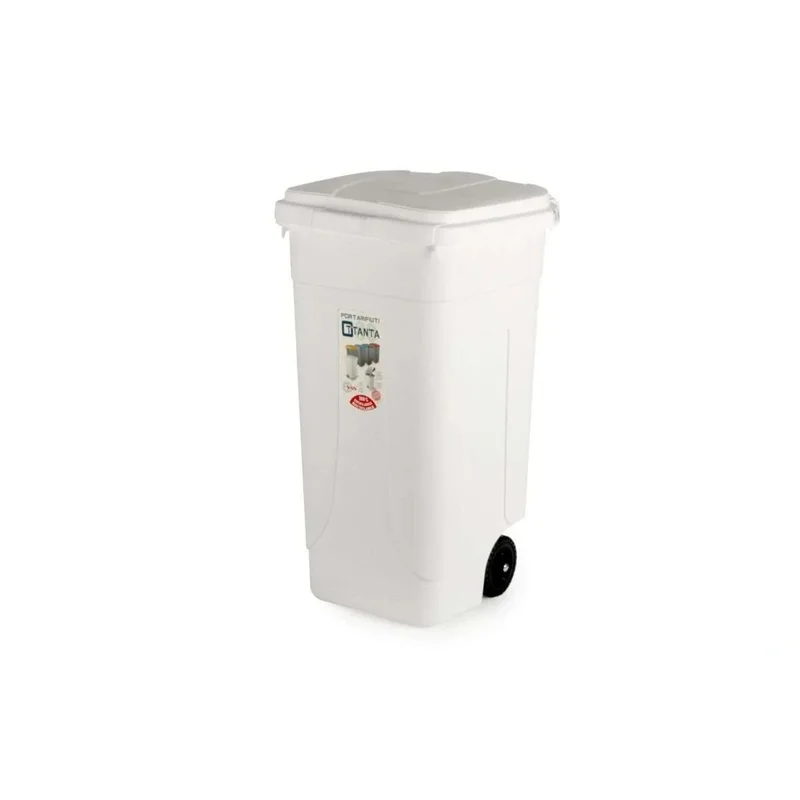 kiwistore-3549740