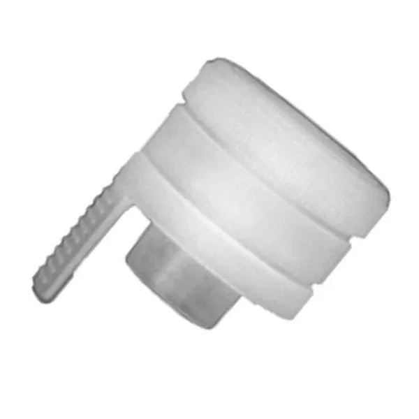 kiwistore-3552631