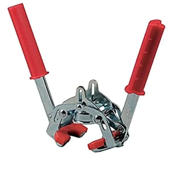 kiwistore-3552668