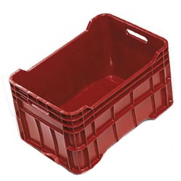kiwistore-3552958