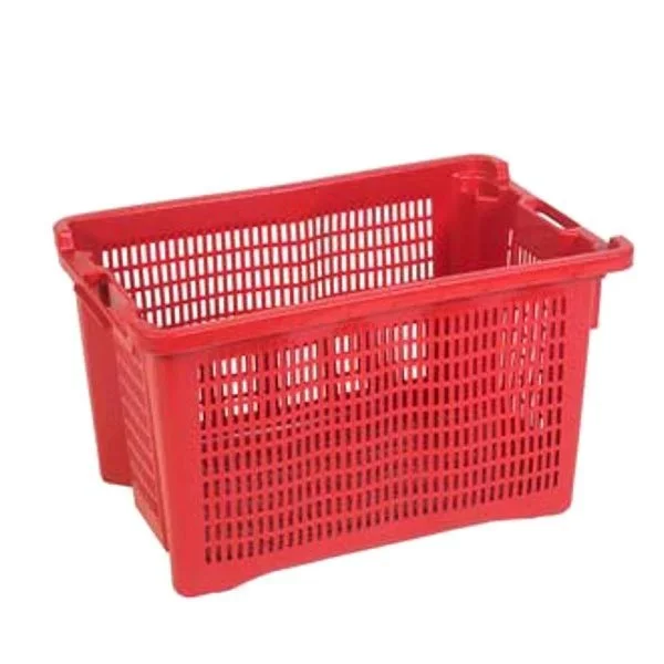 kiwistore-3552960