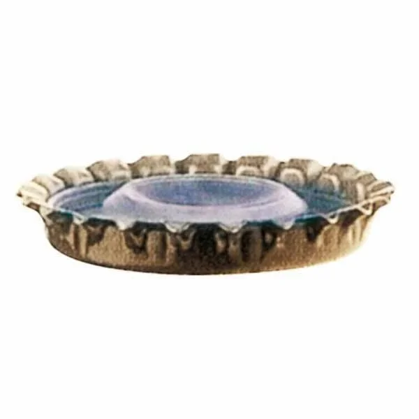 kiwistore-3553065