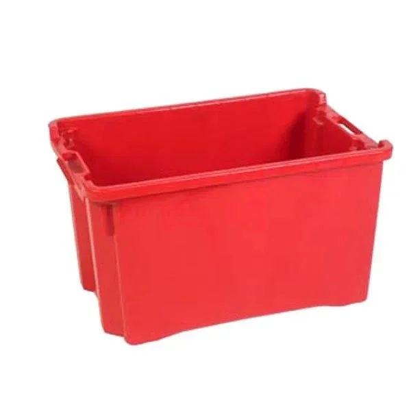 kiwistore-3553112