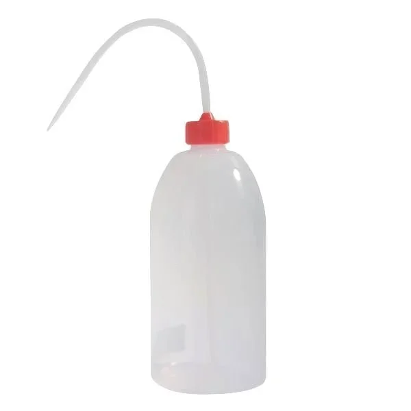 kiwistore-3553221