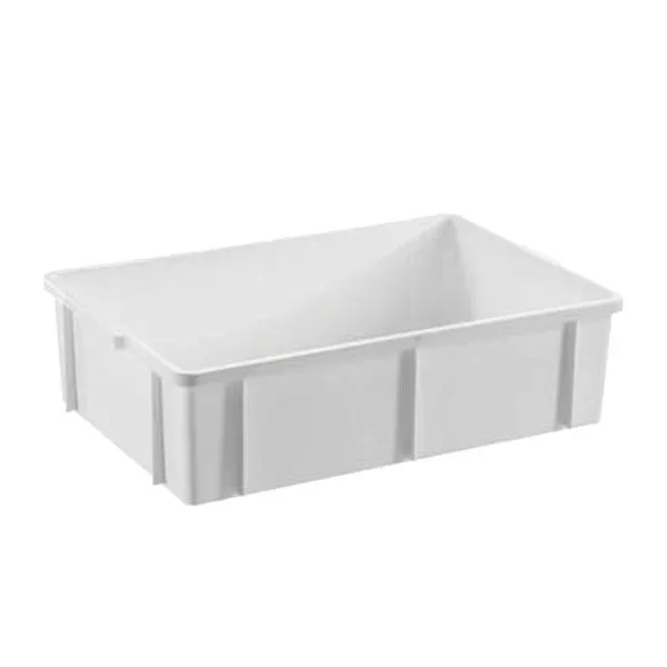 kiwistore-3553474
