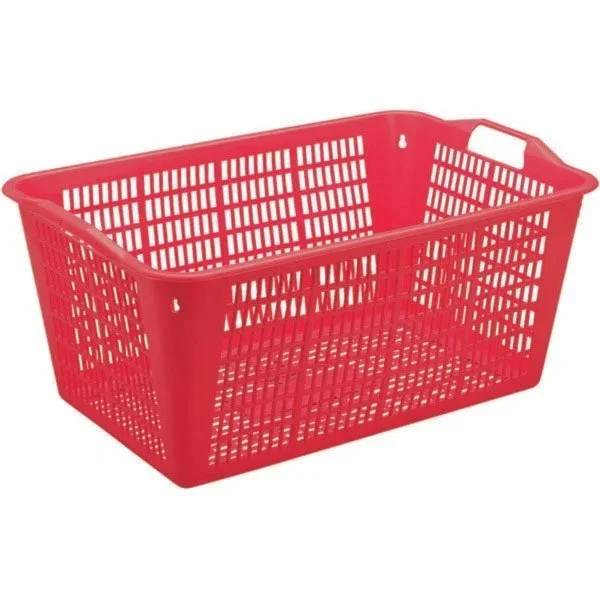 kiwistore-3553845
