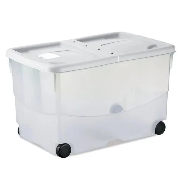 kiwistore-3553860