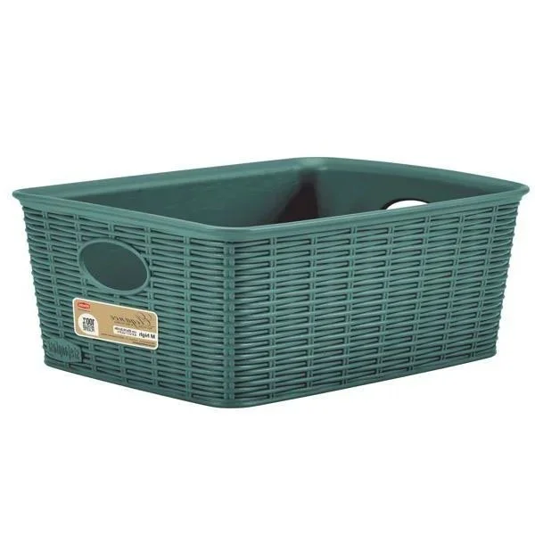 kiwistore-3554073