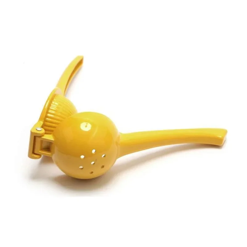 kiwistore-3554903